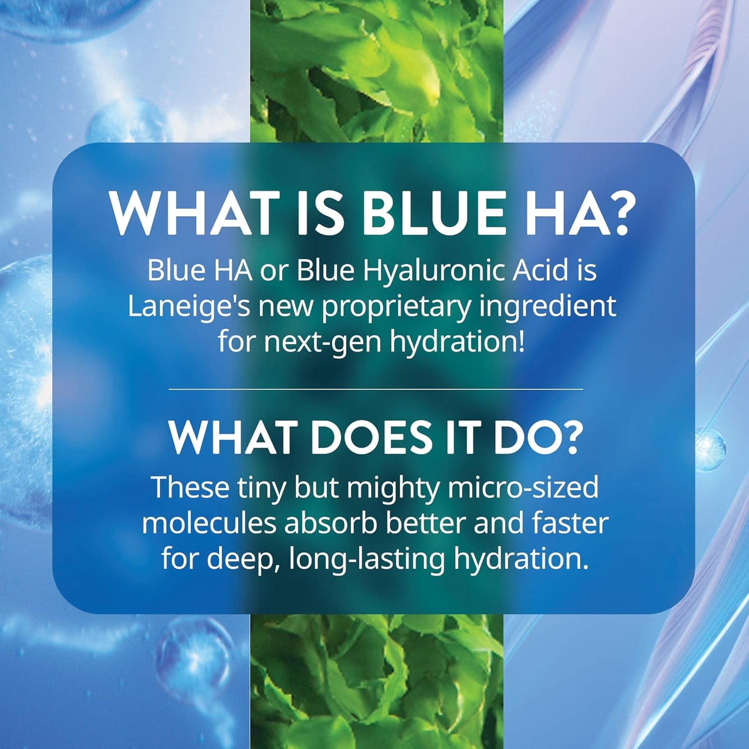 LANEIGE Water Bank Blue Hyaluronic Serum: Hydrating Face Serum with Peptide & Green Tea Enzyme to Improve Skin Firmness & Radiance
