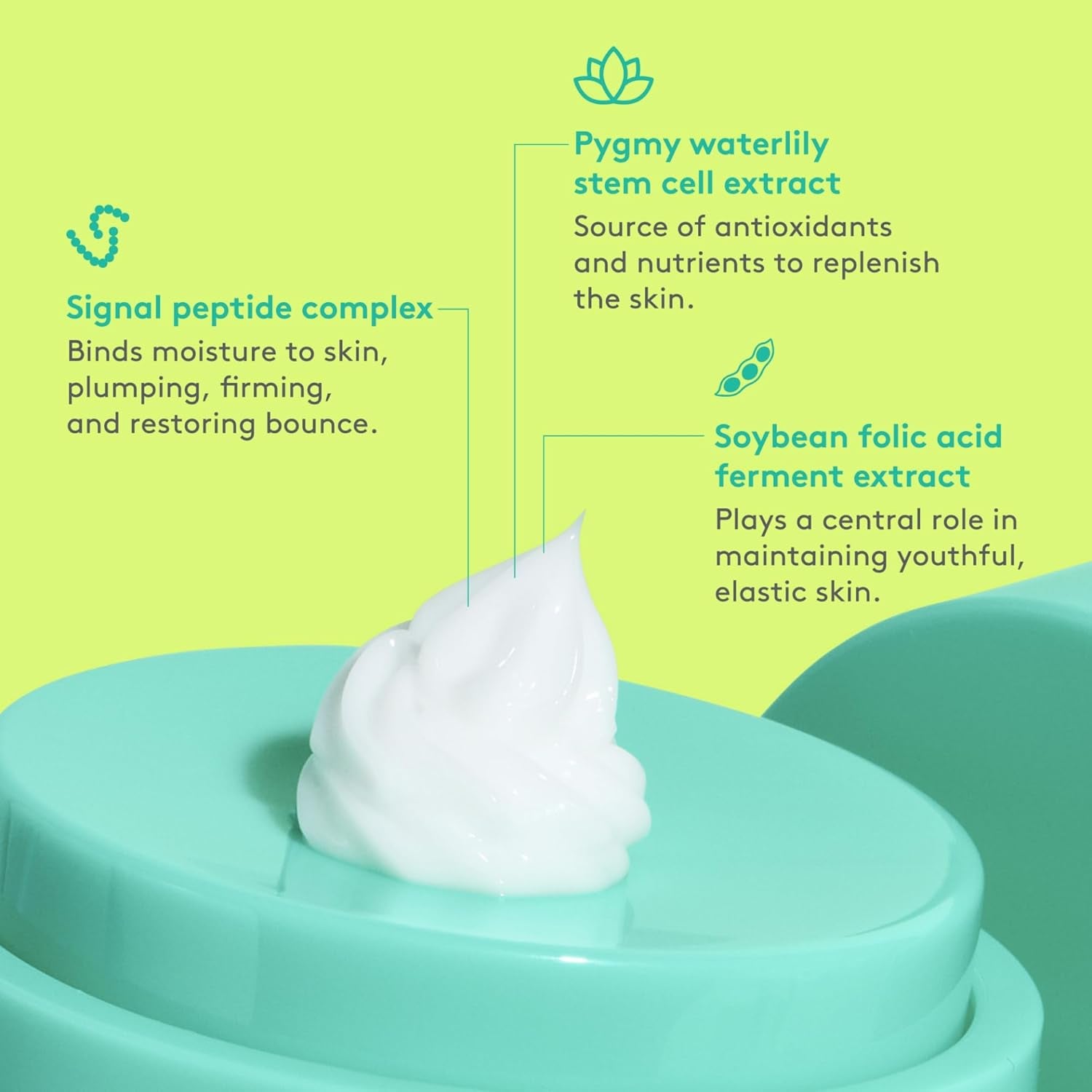 Protini Polypeptide Cream - Firming Moisturizer - Clean Clinical Skincare - Cruelty-Free - Dermatologist-Tested - Free of Essential Oils, Silicones, and Fragrance