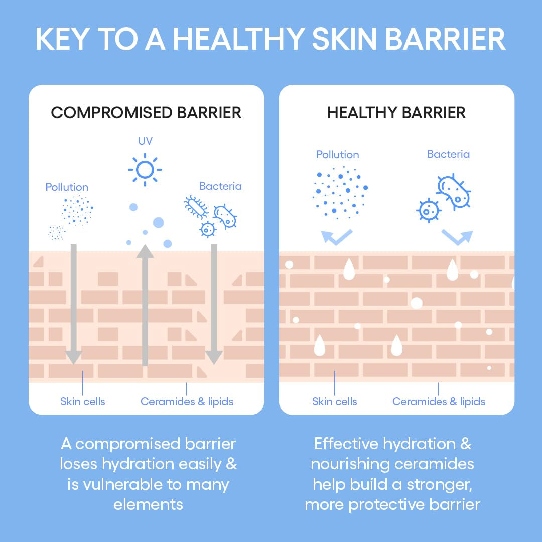 LANEIGE Cream Skin Toner & Moisturizer: Lightweight Refillable Korean Milky Toner with Ceramide & Peptide for Hydration, Firming, & Barrier Support