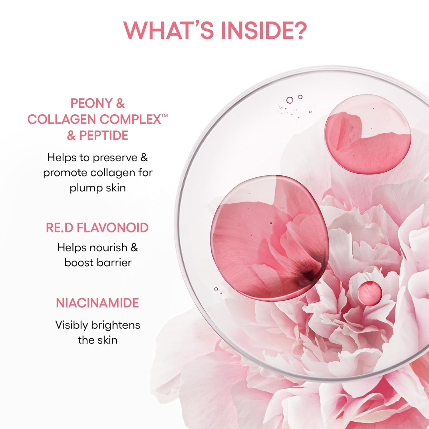 Bouncy & Firm Serum: Korean Slow Aging Collagen Serum with Peptides for Plumping, Firming, & Hydrating