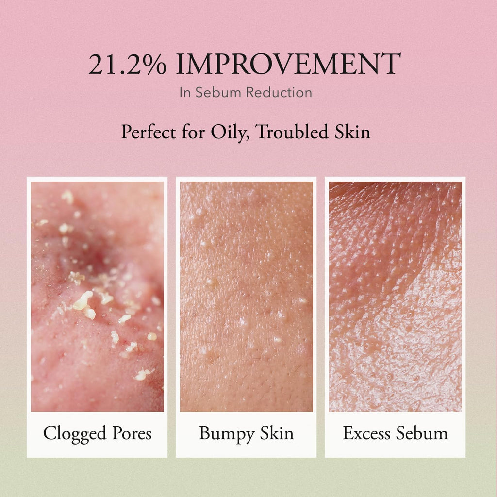 Pink Aloe Vita Toner | Calms and Soothes Redness, Smoothens, and Controls Excess Sebum | 80% Pink Aloe Vera Water | Hydrating, Non-Sticky | Clean & Vegan Korean Skin Care (8.45 Fl.Oz)