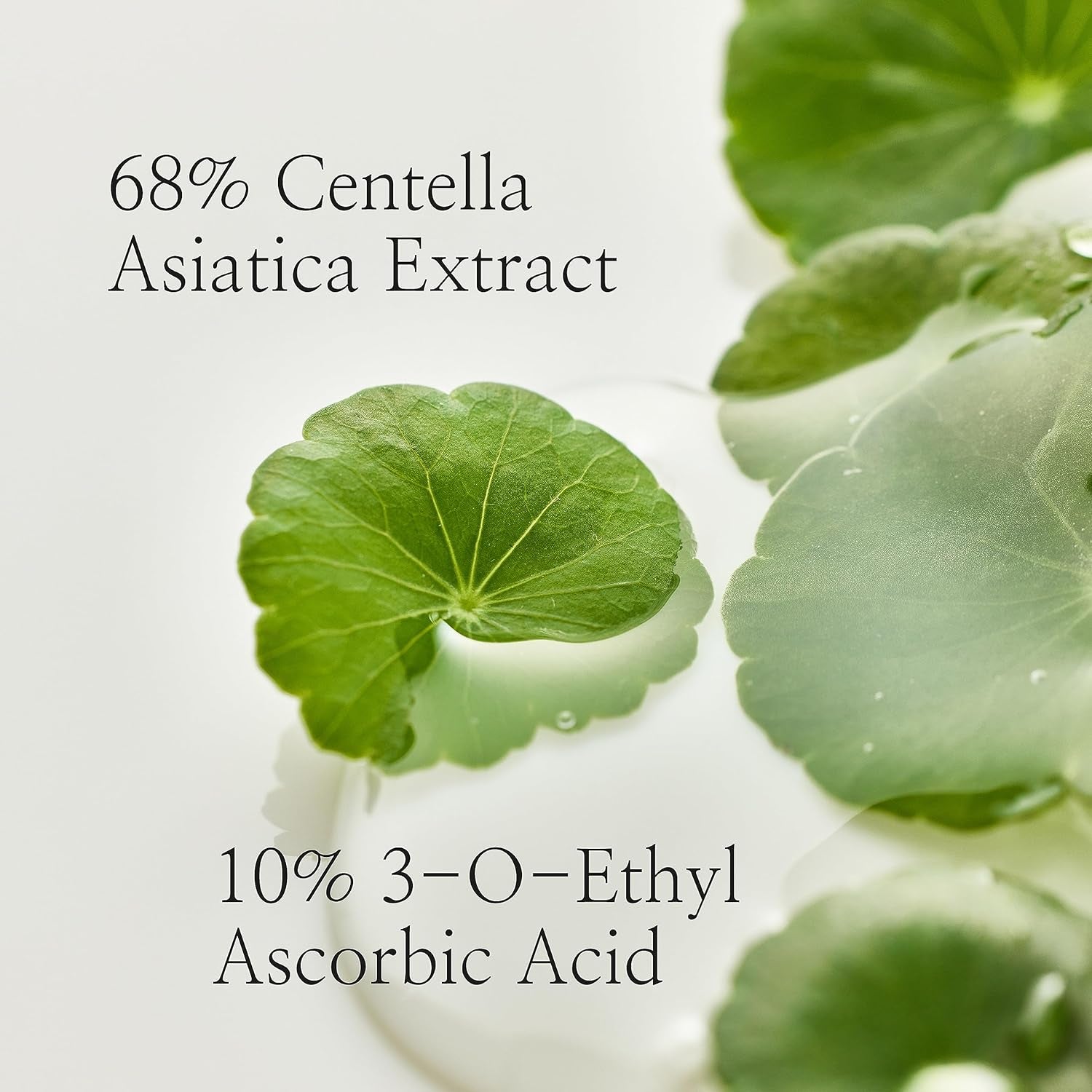 Light on Serum Vitamin C Centella Dark Spot Fine Lines Pigmentation Correcting Serum, Hydrating Moisturizer, Korean Skin Care for Men and Women, 30Ml, 1 Fl.Oz